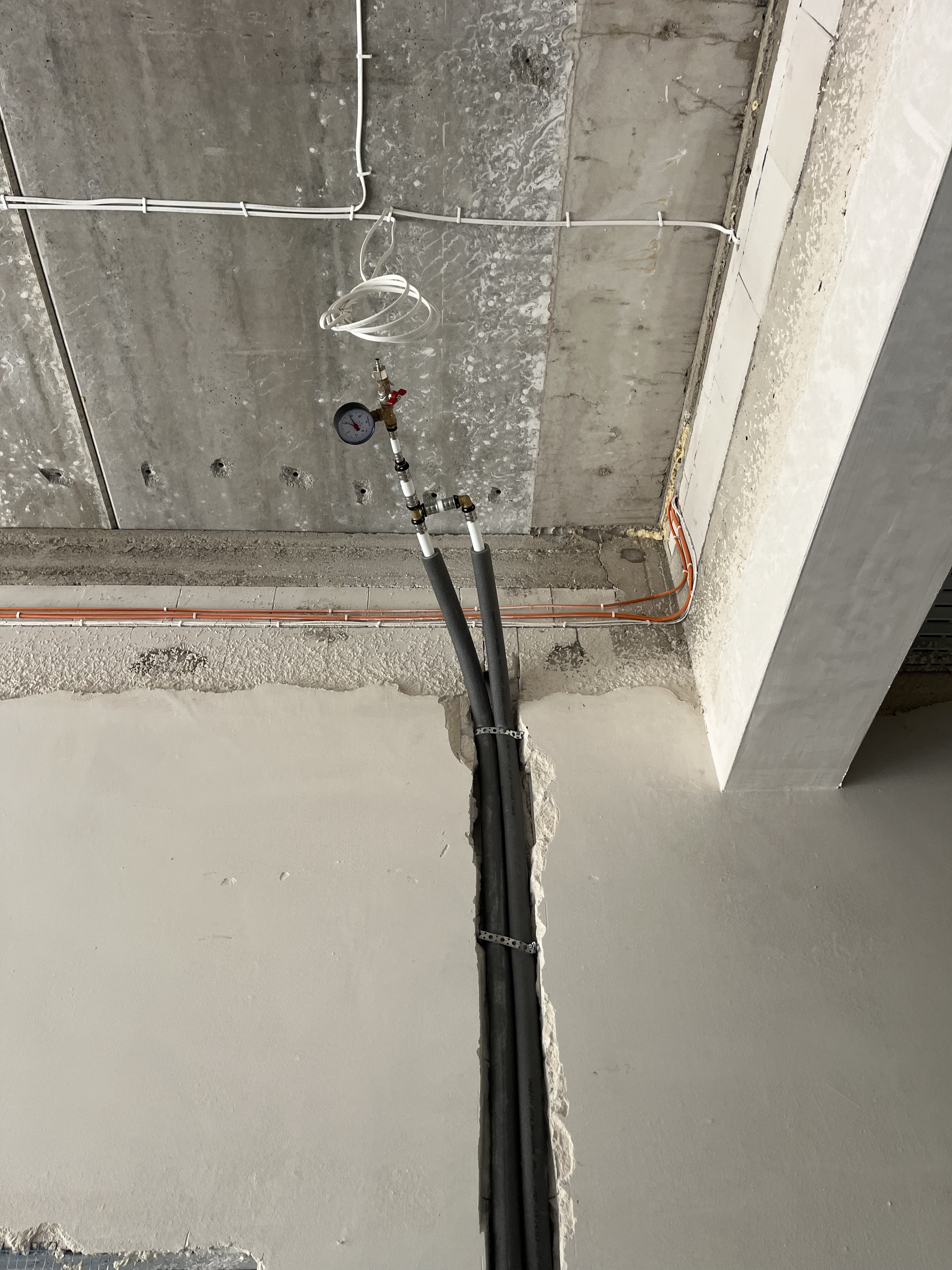 IMG_7772.jpg